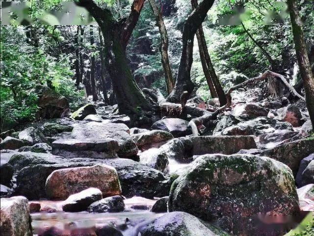 小小忍者疾风传